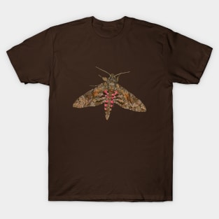 Pink-spotted Hawk Moth T-Shirt